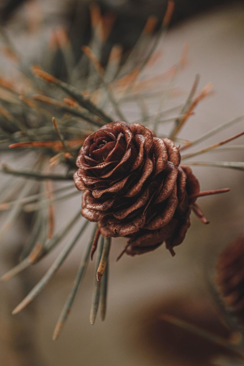 Rustic Tree